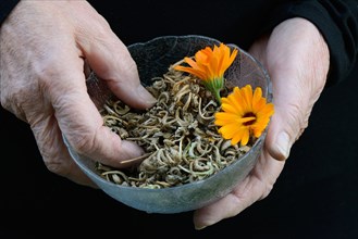 Hands holding bowl with seeds