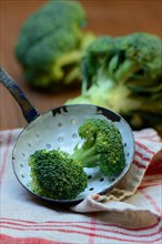 Broccoli florets in ladle