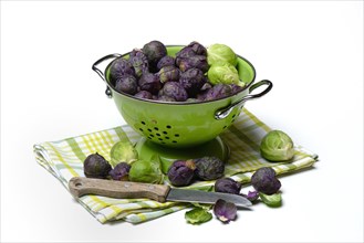 Purple and green Brussels sprouts in sieve