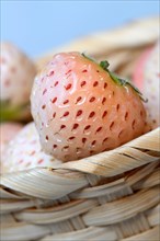 White strawberries in basket