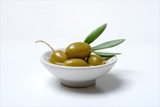 Green olive in shell with olive oil