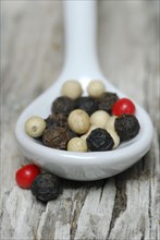 Peppercorns in porcelain spoon