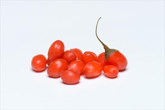 Fresh goji berries