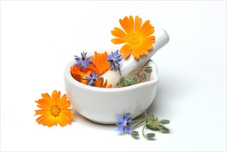 Marigoldblossom and bloom in rubbing bowl