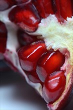 Pomegranate seeds in fruit