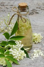 Elderflower vinegar