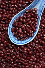 Dried azuki beans with porcelain spoon