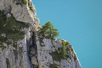 Lake Lucerne and rock face