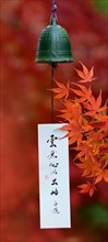 Japanese wind bell and maple leaves in autumn colours