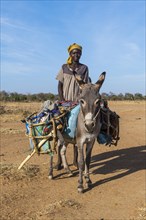 Beduin woman with a donkey