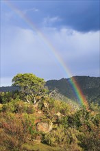 Typical landscape in the Sierra de Andujar National Park