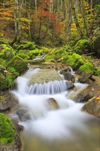 Twannbach Gorge