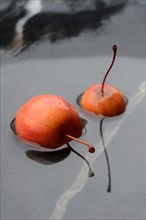 Two decorative apples in water