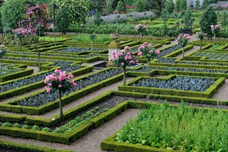 Vegetable garden of Villandry Castle