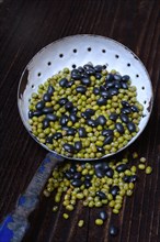 Vignan and black beans in ladle