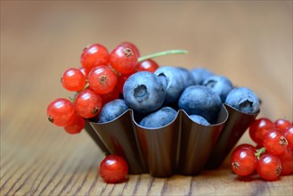 Currants and blueberries in baking tin
