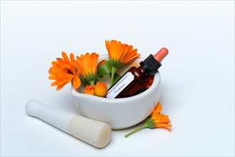 Marigoldstincture and flowers