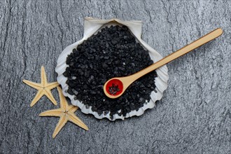 Black Hawaiian salt in shell with spoon