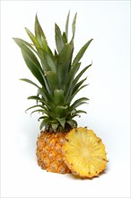 Truncated Pineapple