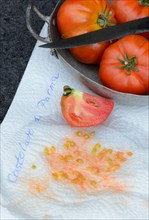 Tomatoescores on household paper