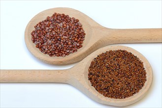 Quinoa