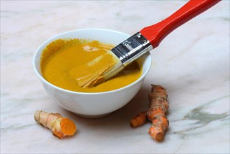 Turmeric paste in shell and turmeric root