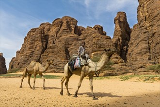 Boy riding on camel