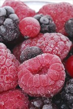 Frozen berry mix