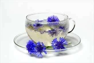 Cup of tea Cornflowers- tea