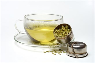 Fennel tea in cup and fennel seeds in spoon