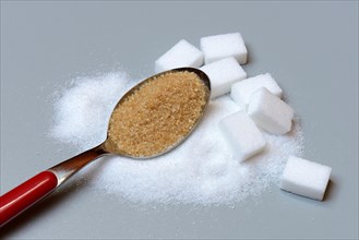 Spoon with cane sugar and white sugar
