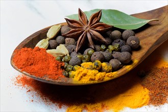 Various spices in wooden spoon