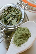 Dried Moringa leaves in glass container