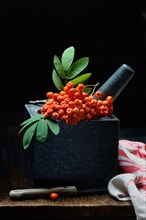 Rowanberries in grated shell