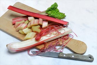 Rhubarb with knife