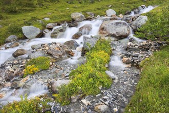 Mountain stream at the Julier Pass