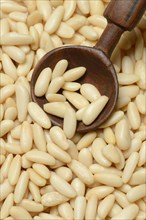 Pine nuts with wooden spoon