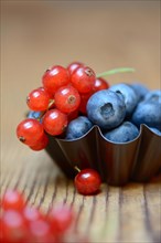 Currants and blueberries in baking tin