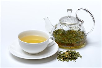 Moringa tea in cup and teapot and moringa leaves
