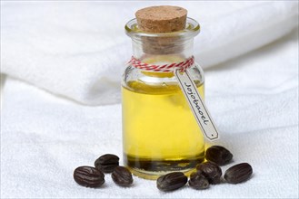 Jojobaoil and seeds