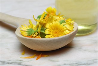 Marigoldsbloom in wooden spoons