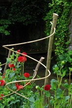 Wicker support for flowers