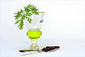 Glass of absinthe with wormwood and absinthe spoon
