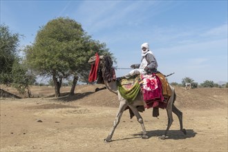 Colourful camel rider at a Tribal festival