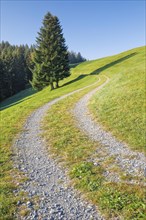 Field path on the Ratenpass