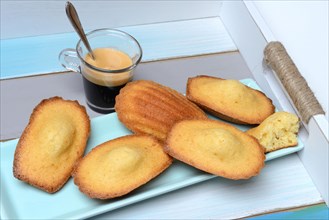 Madeleines on tray with cup of coffee