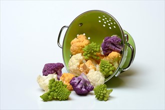 Coloured Cauliflower