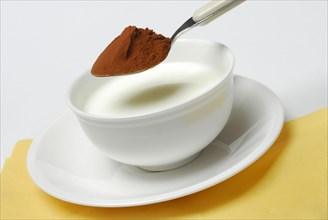 Spoon of cocoa powder is put into cup with milk