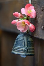 Bell with flower of an ornamental quince