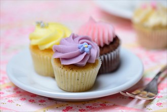 Mini-Cupcakes on plates